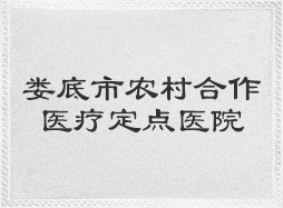 娄底市农村合作医疗定点医院