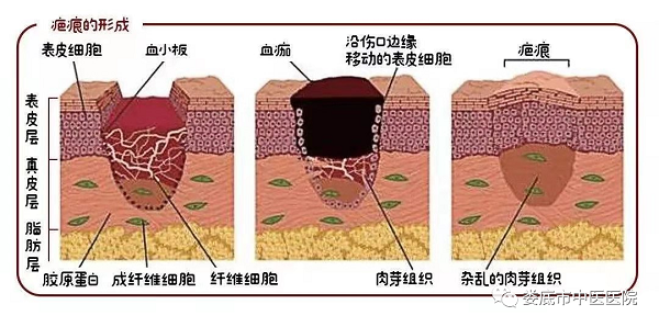 微信图片_20210119161450.png