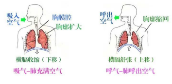 微信图片_20230110143928.png