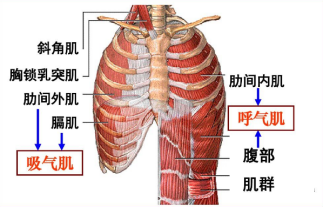 微信图片_20230110143947.png