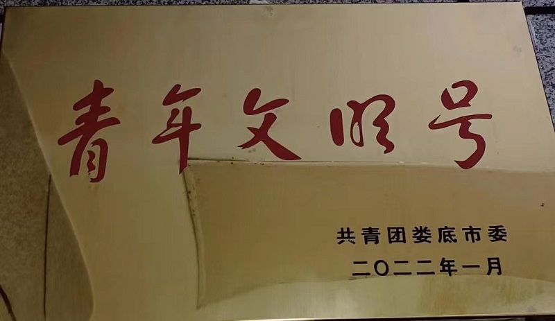 中医特色治疗区获共青团娄底市青年文明号