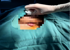 40.png 40.png